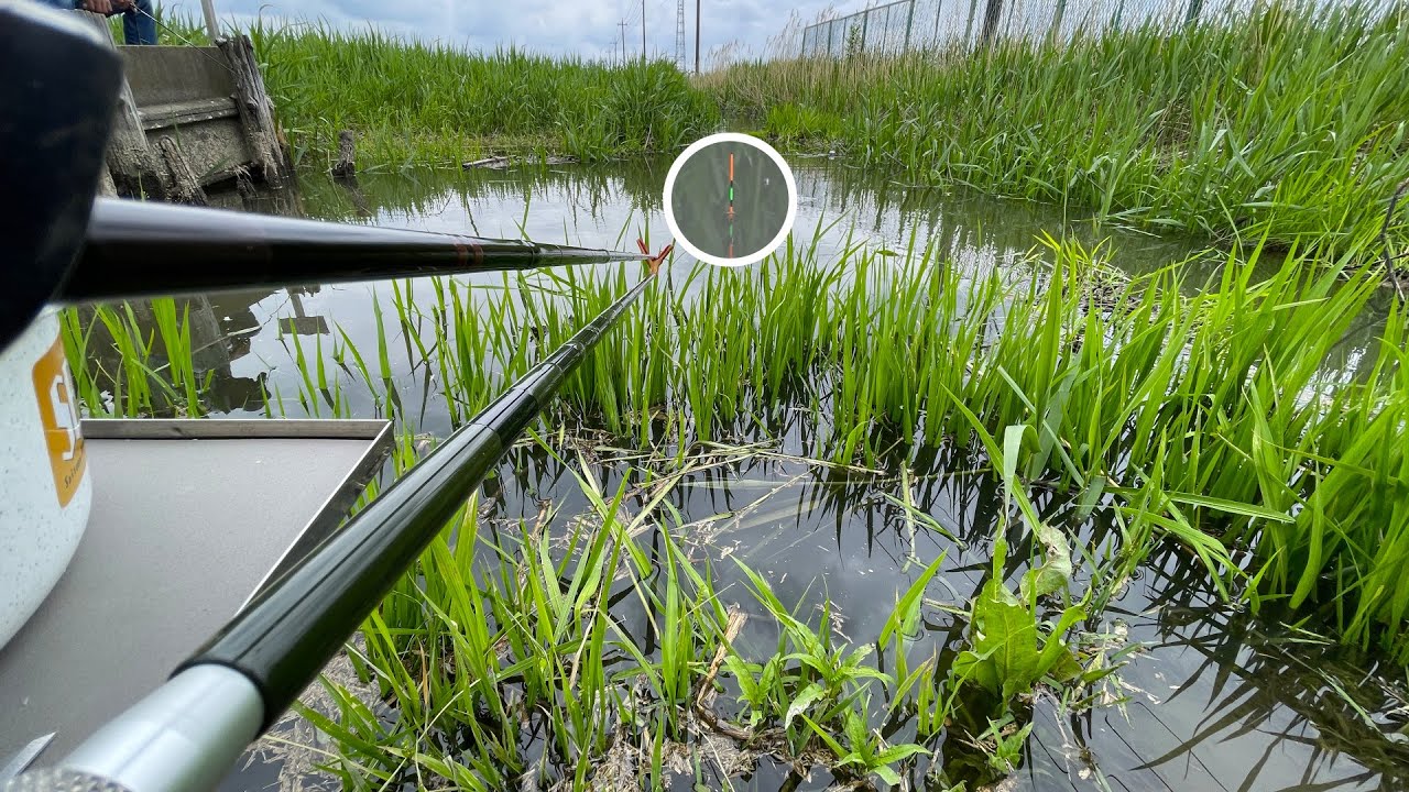 まわりすべて草に囲まれる場所で釣りに没頭する