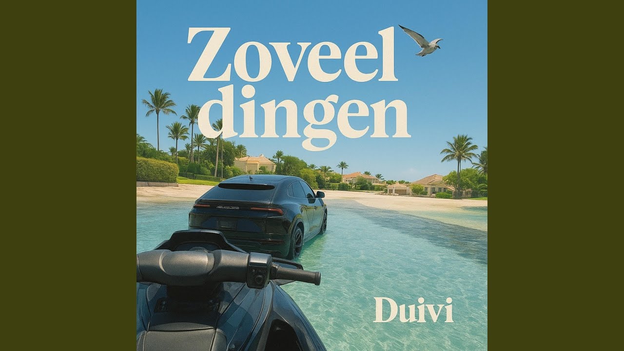 Zoveel dingen