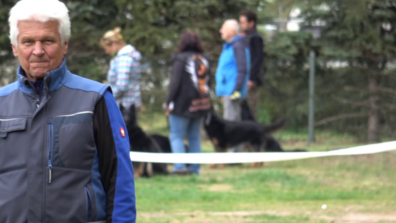 2019-04-28 - Bonitace Chodských psů Stříbrný rybník