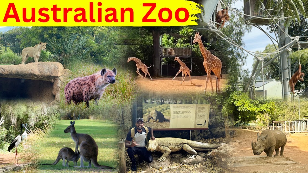 Perth Zoo Tour | Visiting and exploring an Australian zoo | The MAGnificent Show