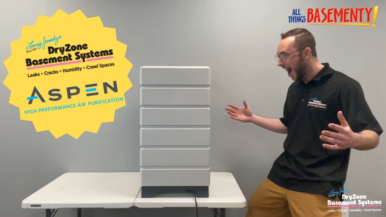 Fight Seasonal Allergies &ndash; Aspen Air Purifier