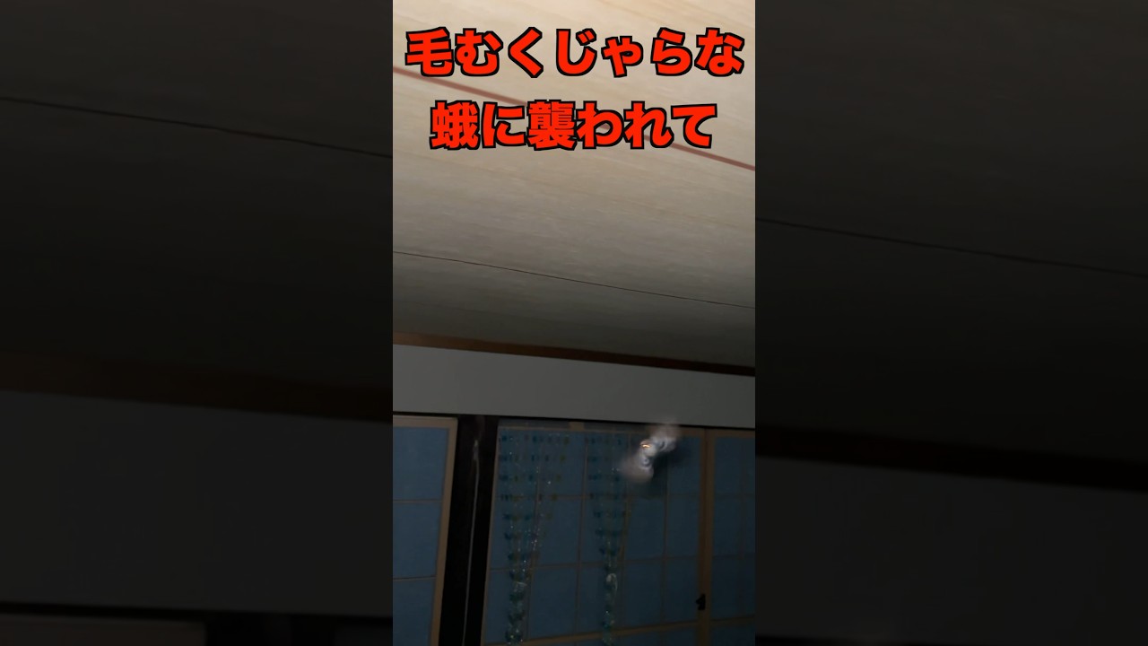 【閲覧注意】毛むくじゃらな蛾に寝込みを襲われて発狂した