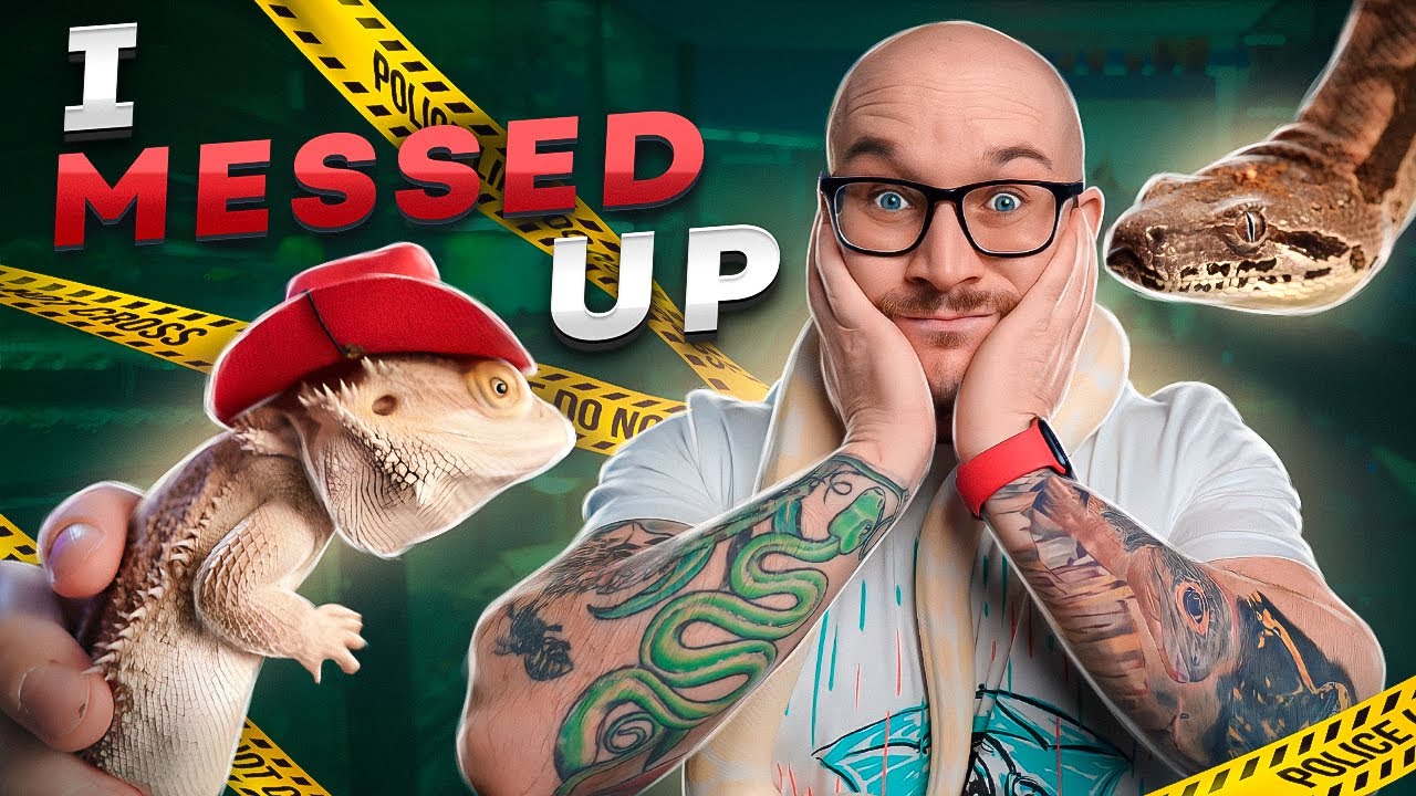 I Made a HUGE Mistake Rehoming These Reptiles | I Miss Them!