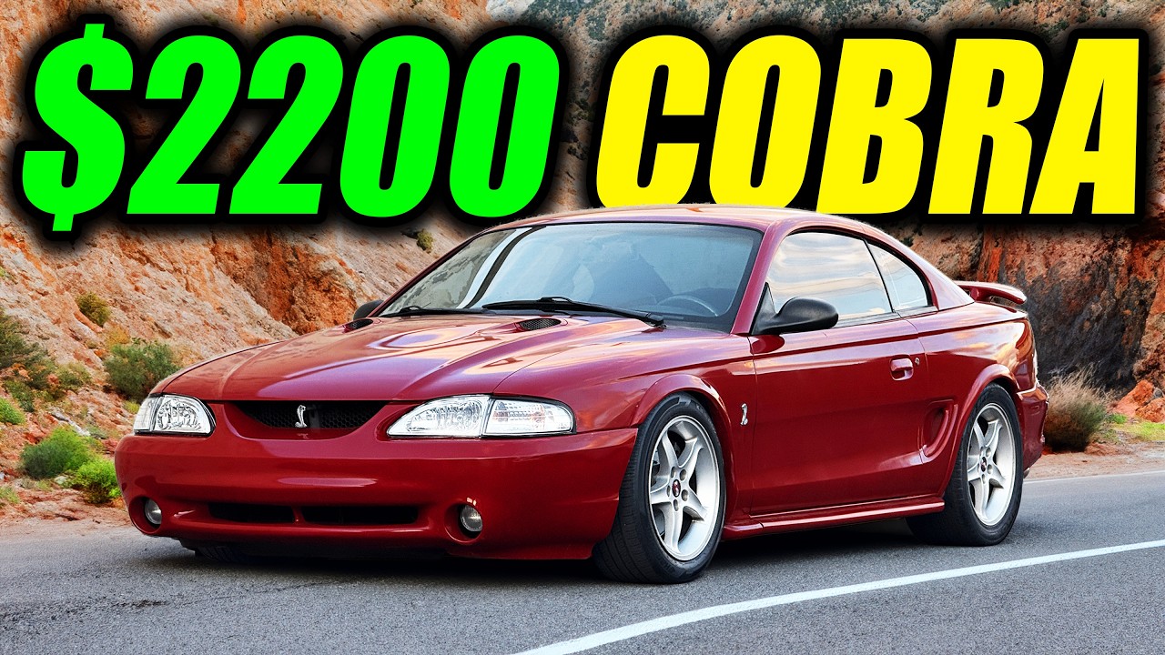 Bringing My $2,200 Mustang Cobra Back to Life!