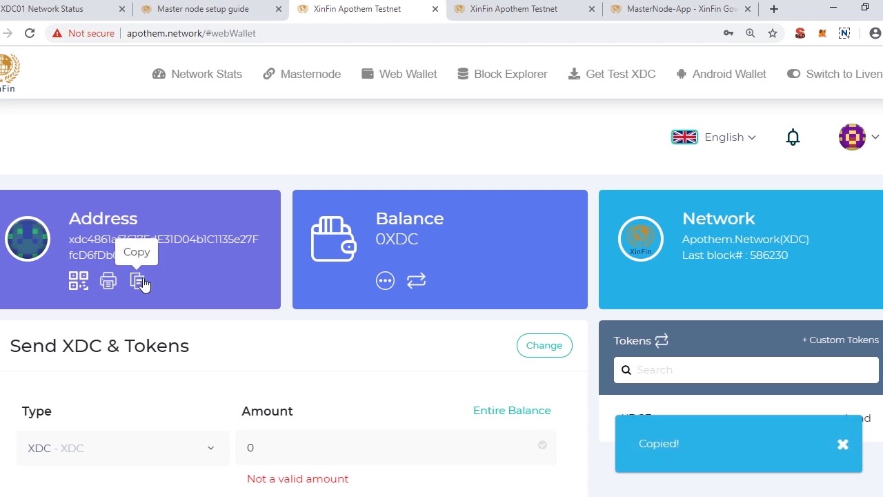 Setup XinFin Blockchain Node Masternode with just One Click.