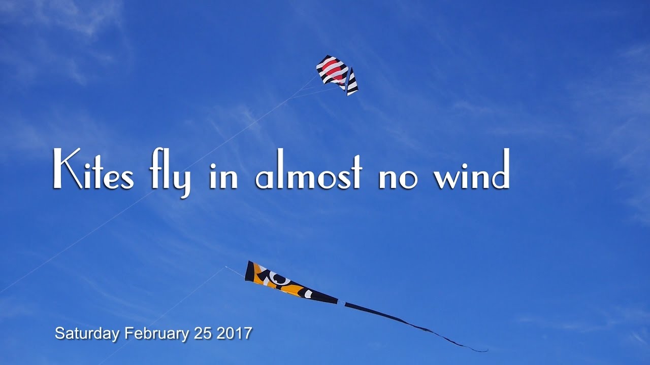 Kites fly in almost no wind