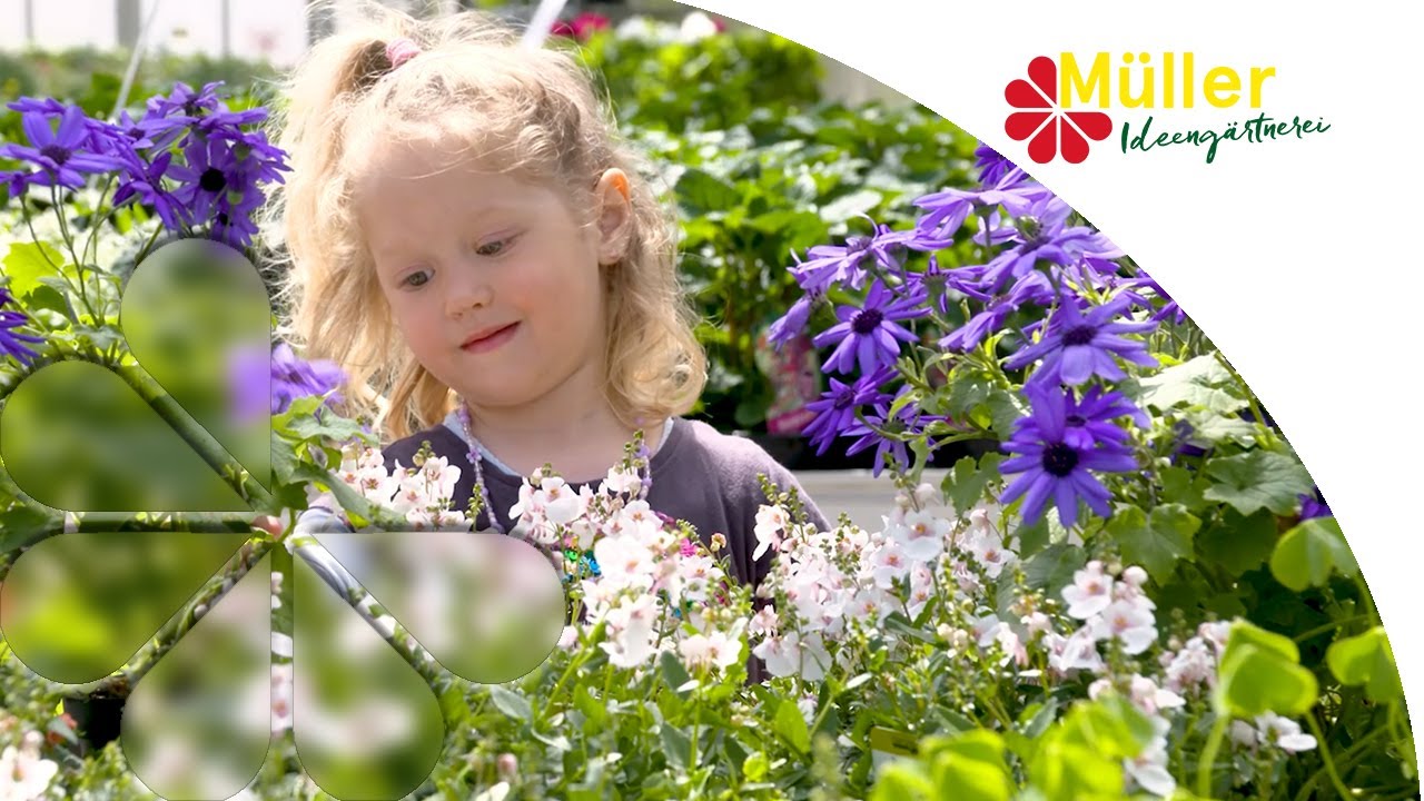 Ideeng&auml;rtnerei  M&uuml;ller - Unsere Blumenvielfalt &uuml;berrascht