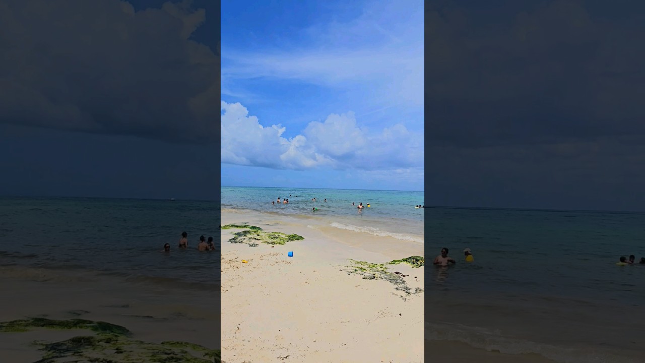 Today! Inti beach Playa del Carmen Mexico tropical Caribbean Sea life #travel #explore #nature #blue