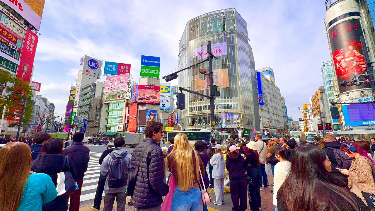 World’s Famous city Shibuya tour. Shibuya to Harajuku. Tokyo, Japan. 