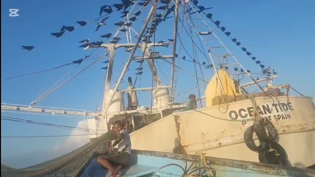Погружение на траулере с компанией South West Adventures