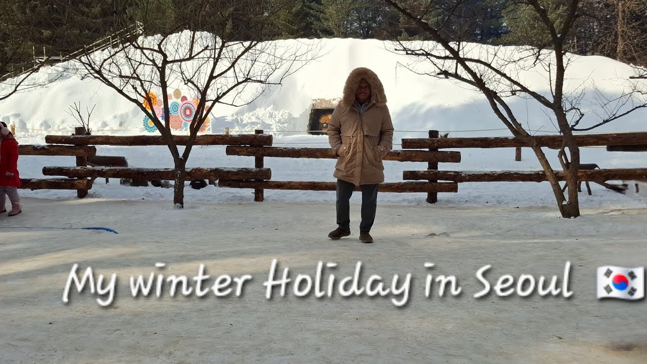 Winter holiday in Seoul 🇰🇷 (Jan 2026) #seoul #winter 