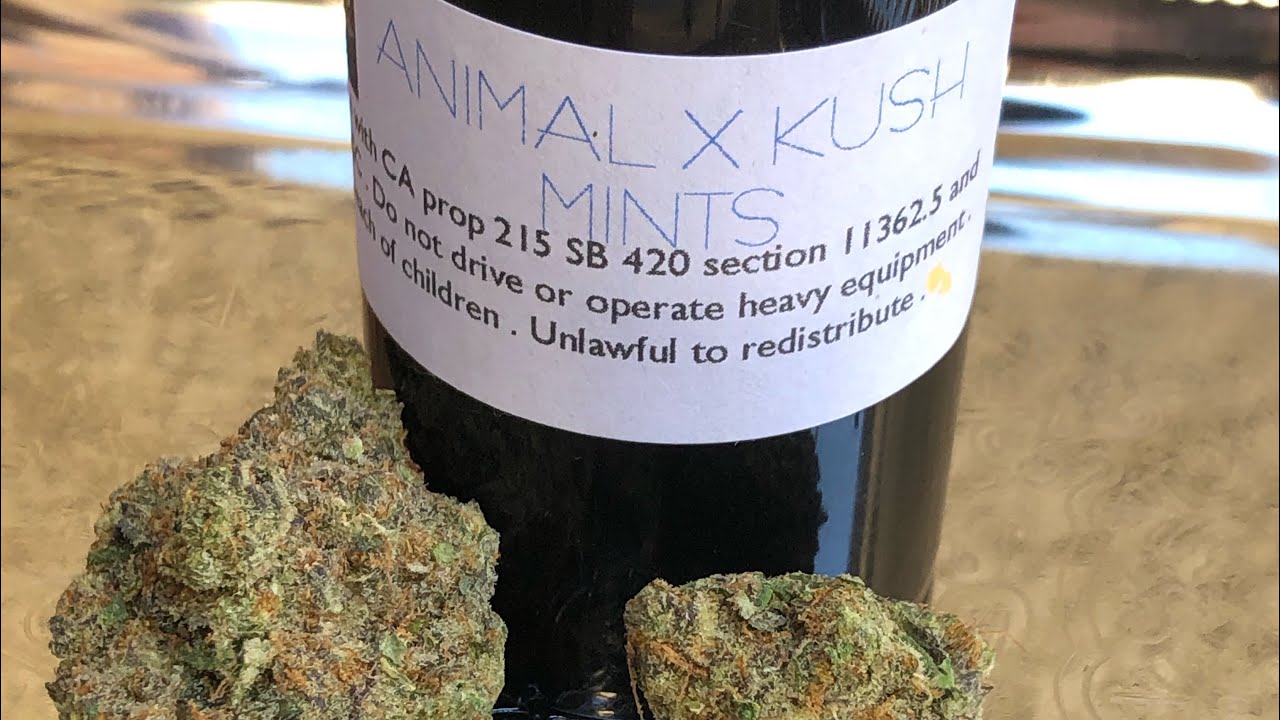 Animal Mints Strain Review