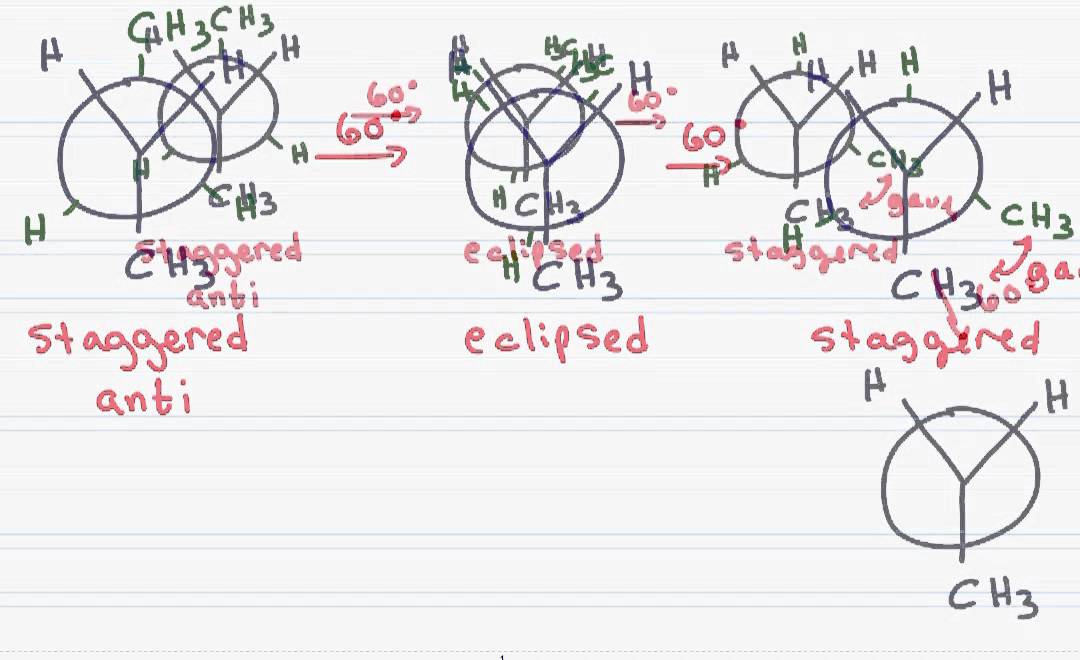 Newman Projection of Butane