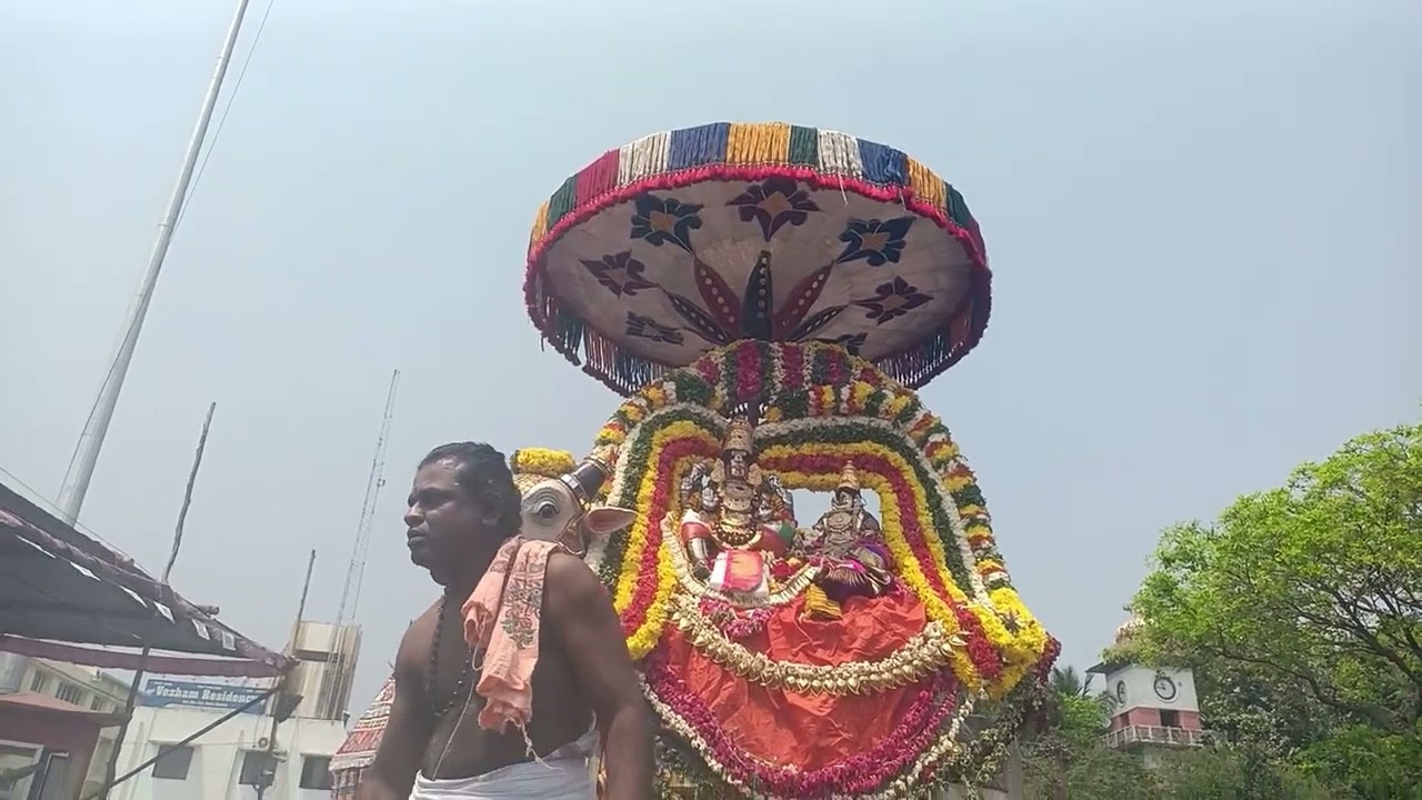 மாசி மகம் பெருவிழா மகாமகக் குளக்கரையில் தீர்த்தவாரி உற்சவம் கும்பகோணம் பகுதி 