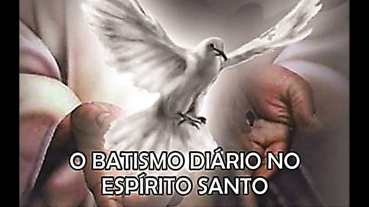 Marcelo Martins - Seminário Espírito Santo Tema 5. O Batismo Diário no Espirito Santo