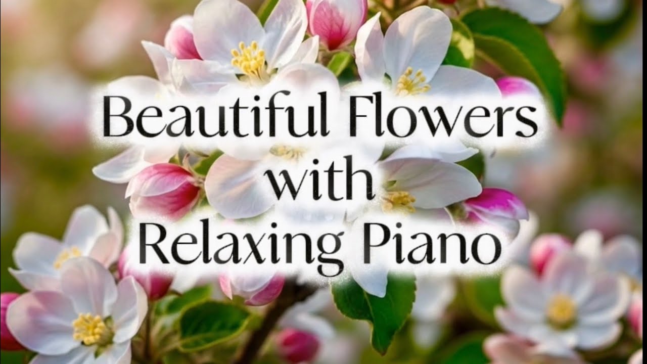 Beautiful flowers with relaxing piano