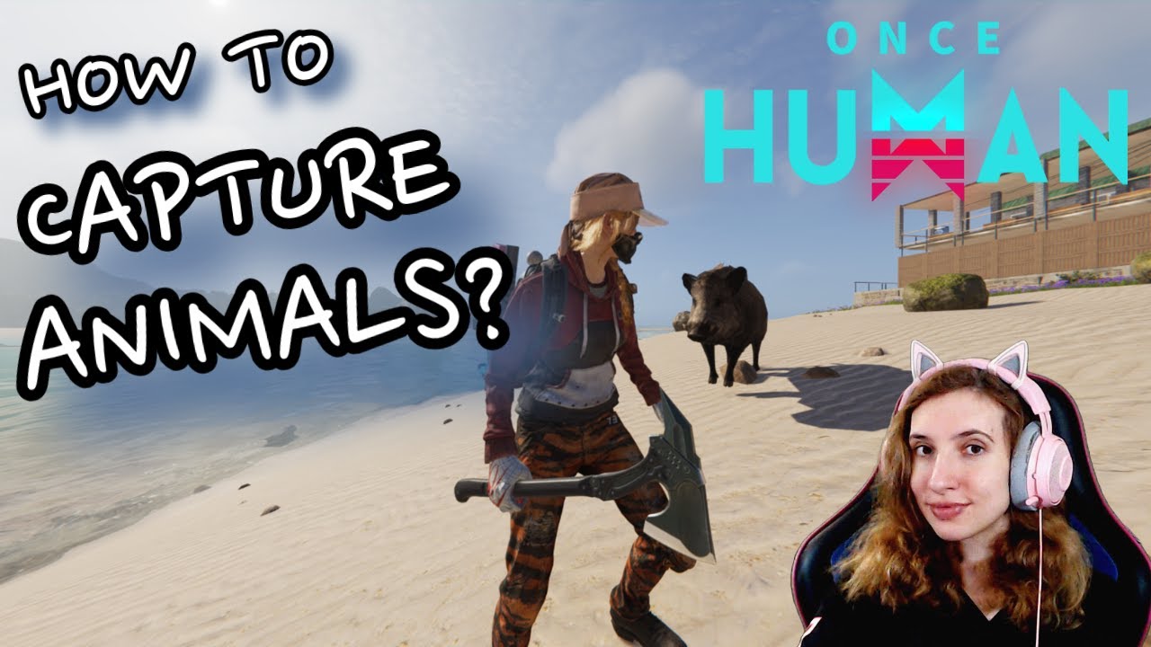 How to capture animals in Once Human | Once Human #miss_rofl #oncehuman