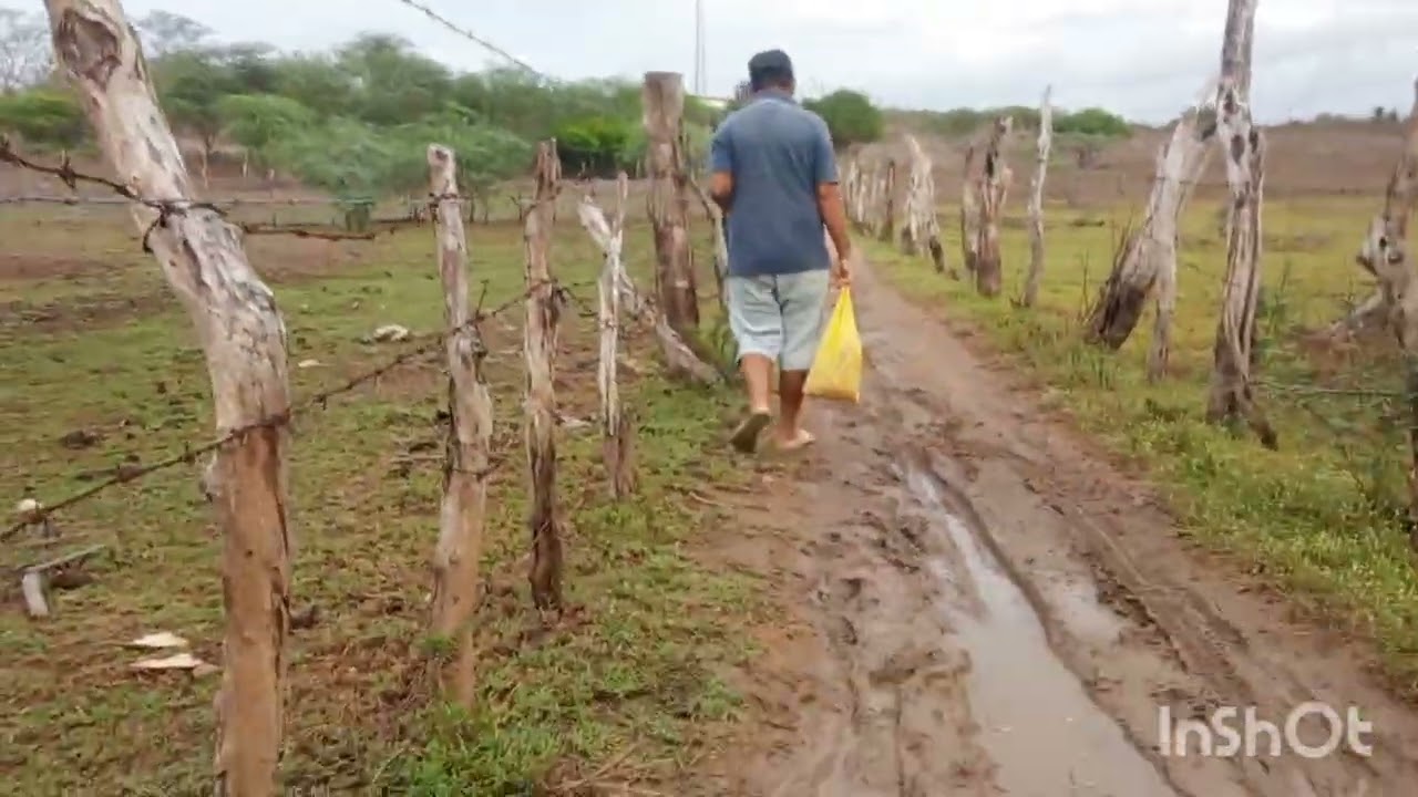 #uma tarde de benção aqui no nordeste 🙏🙏🙏