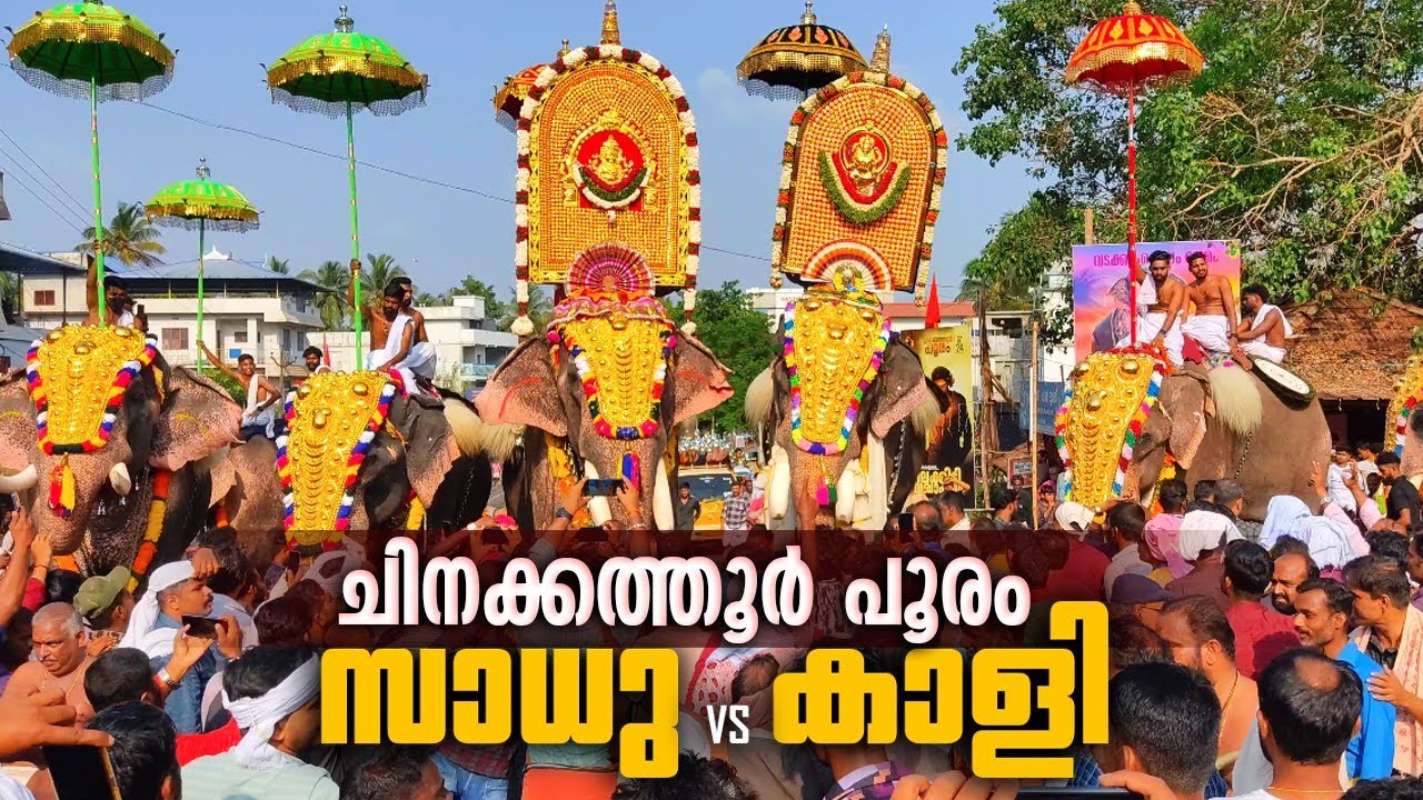 Chinakkathoor Pooram 2024 🔥😎 | Puthuppally Sadhu vs Chirakkal Kalidasan | Kalidasan vs Sadhu