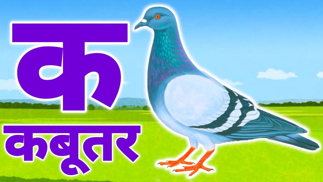 अ से अनार - Hindi Varnamala Geet - Hindi Phonics Song + More Hindi Rhymes for Children jug jug tv