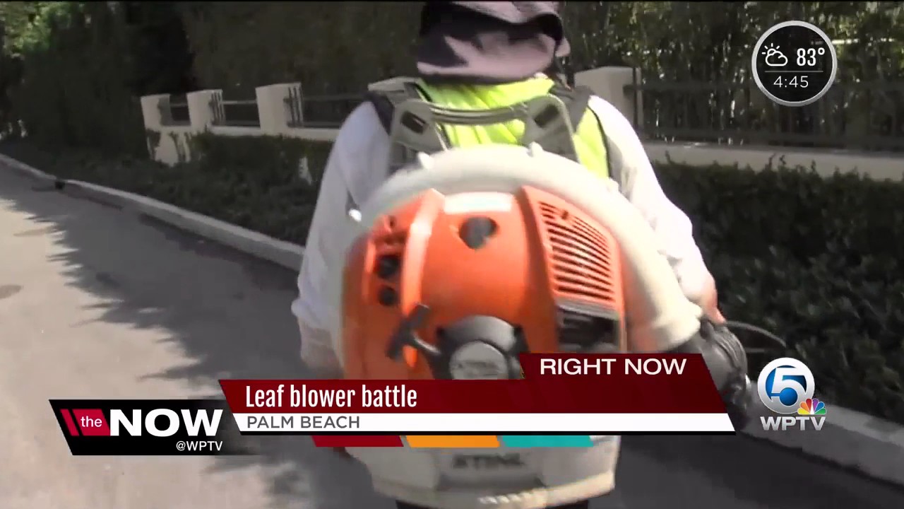 Leaf blower battle