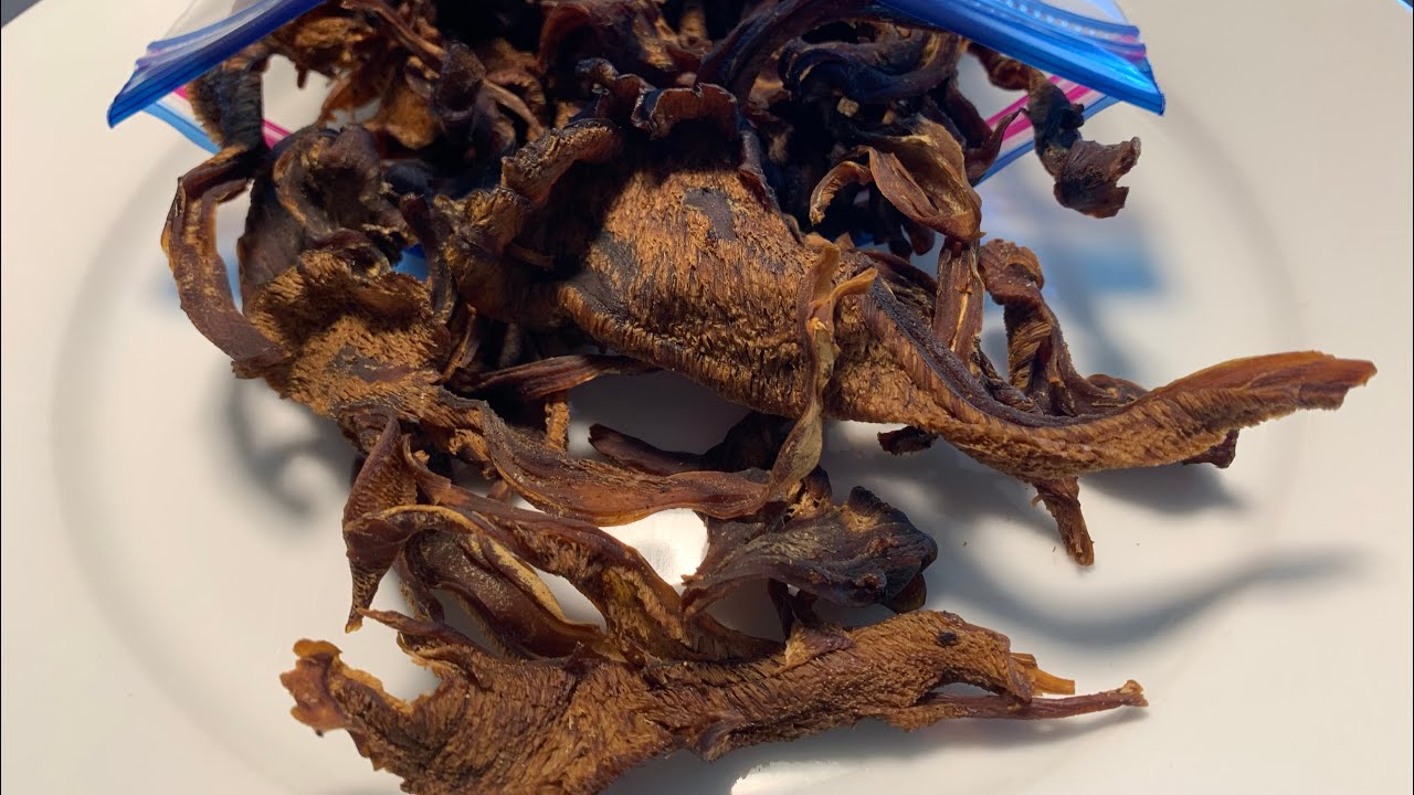 Maitake Mushroom Jerky ~ Minnesota Mushrooms ~ hen of the woods jerky￼