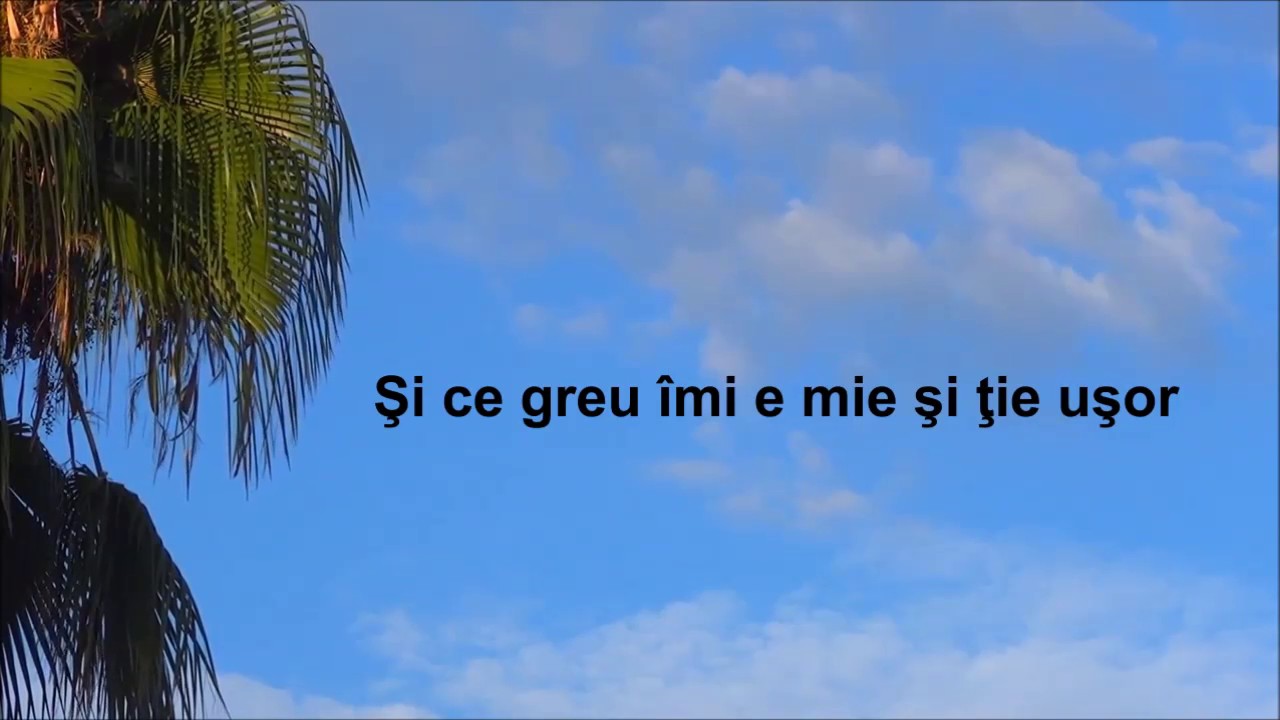 Ducu Bertzi - Dacă tu