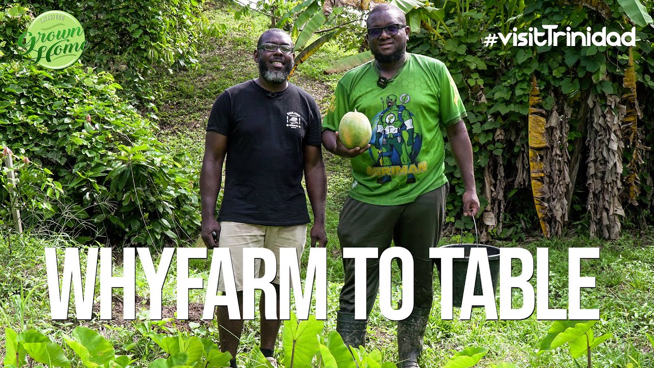 Опыт WhyFarm To Table: сбор урожая и приготовление пищи на открытом воздухе в Сипарии, Тринидад @...