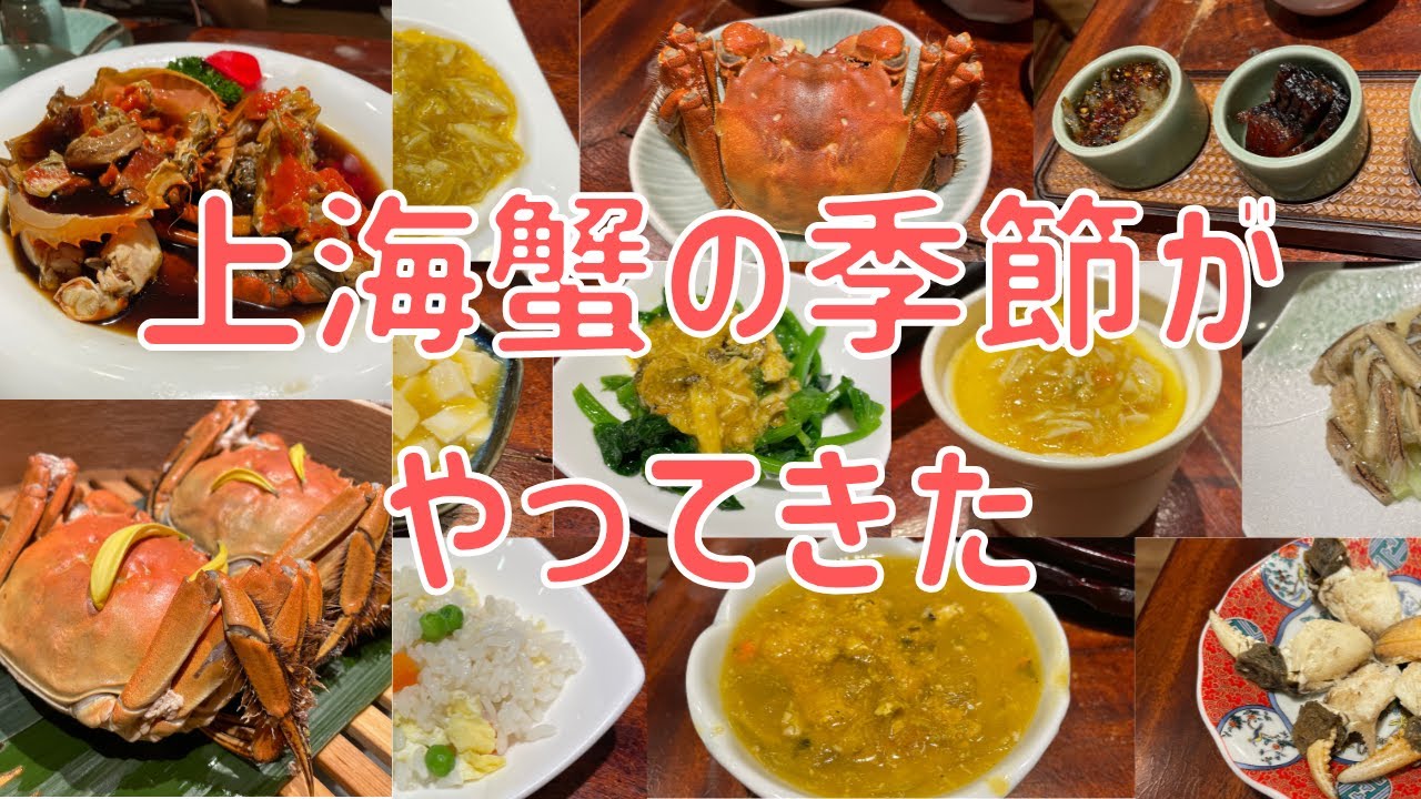 【上海観光】上海蟹の季節！コスパの良いお店を見つけました