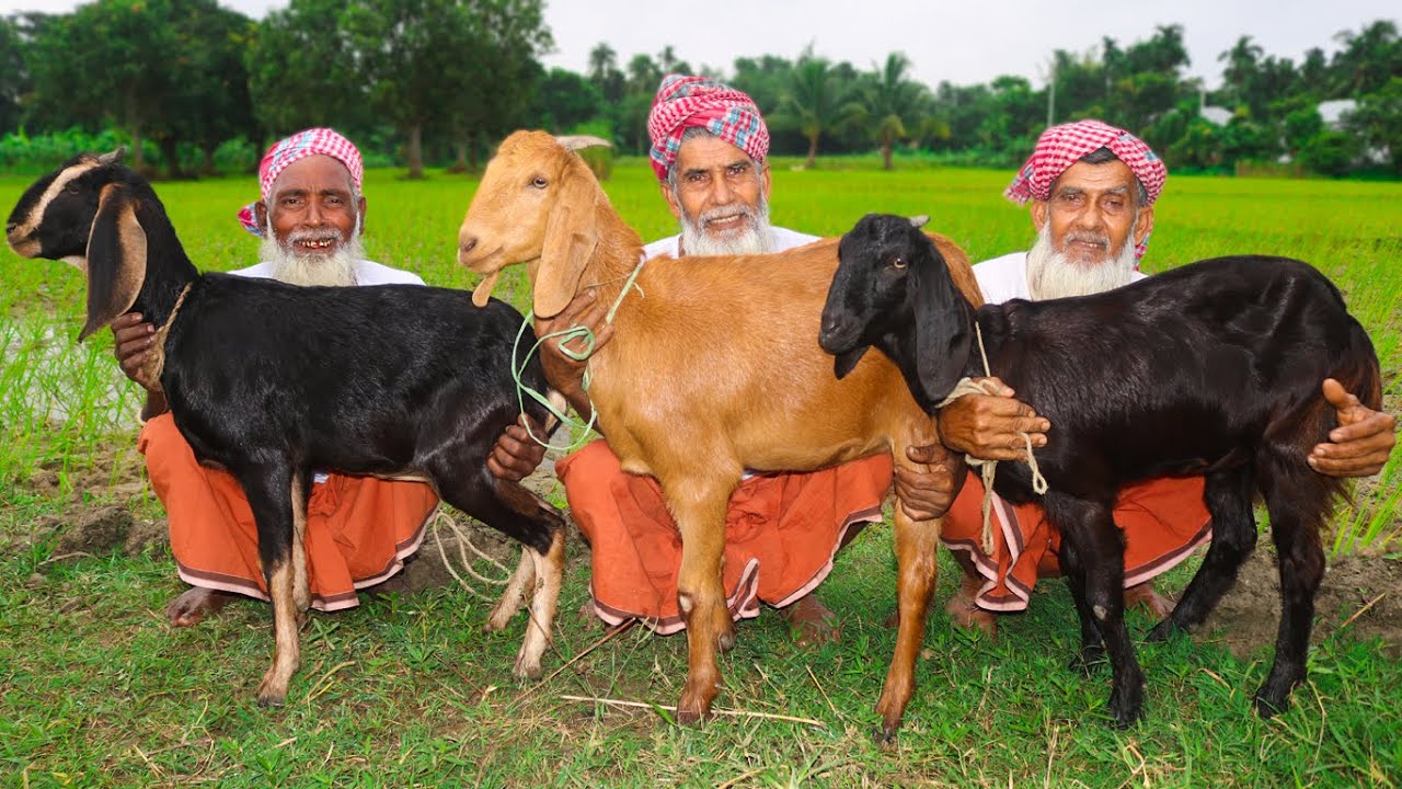 Food For Homeless Beday Ethnic Group - 3 Full Goat Mutton Biryani For Nomadic People By 3 Grandpa