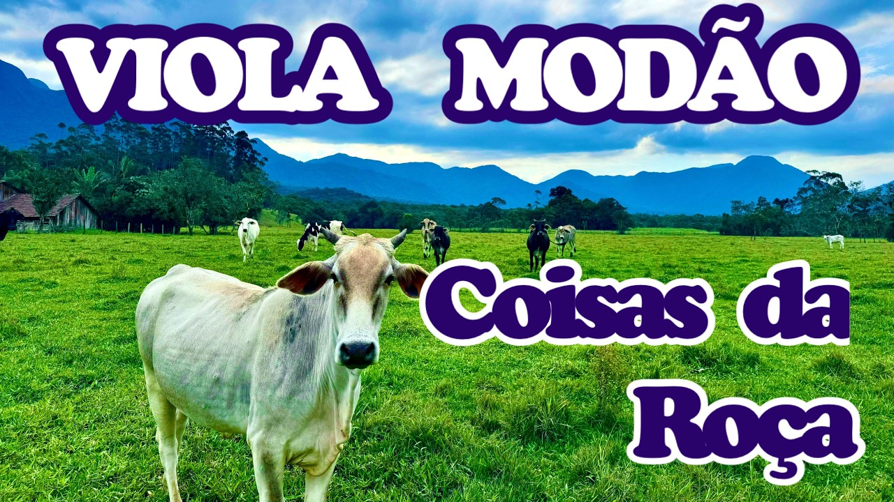 EITA MODÃO DE VIOLA BOA SÔ - Aqui o Caipira se Realiza