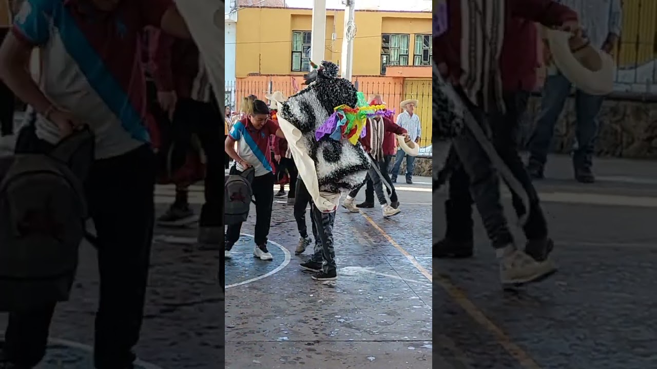 Torito de Carnaval de la Colonia Ibarra 2023.