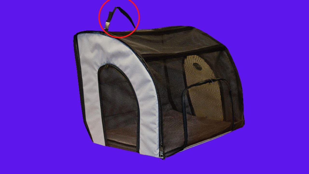 Before You Buy K&H PET PRODUCTS Travel Safety Pet Carrier