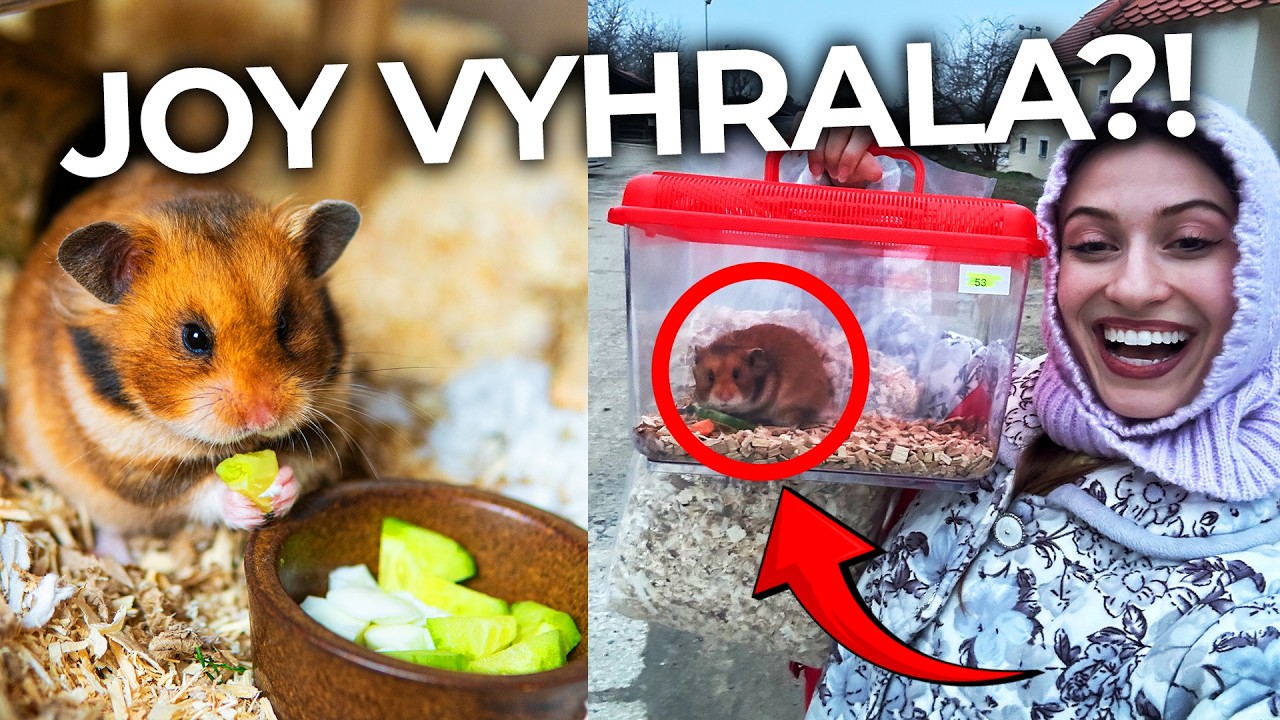 AKO VYZERÁ DEŇ NA VÝSTAVE ŠKREČKOV? 🐹