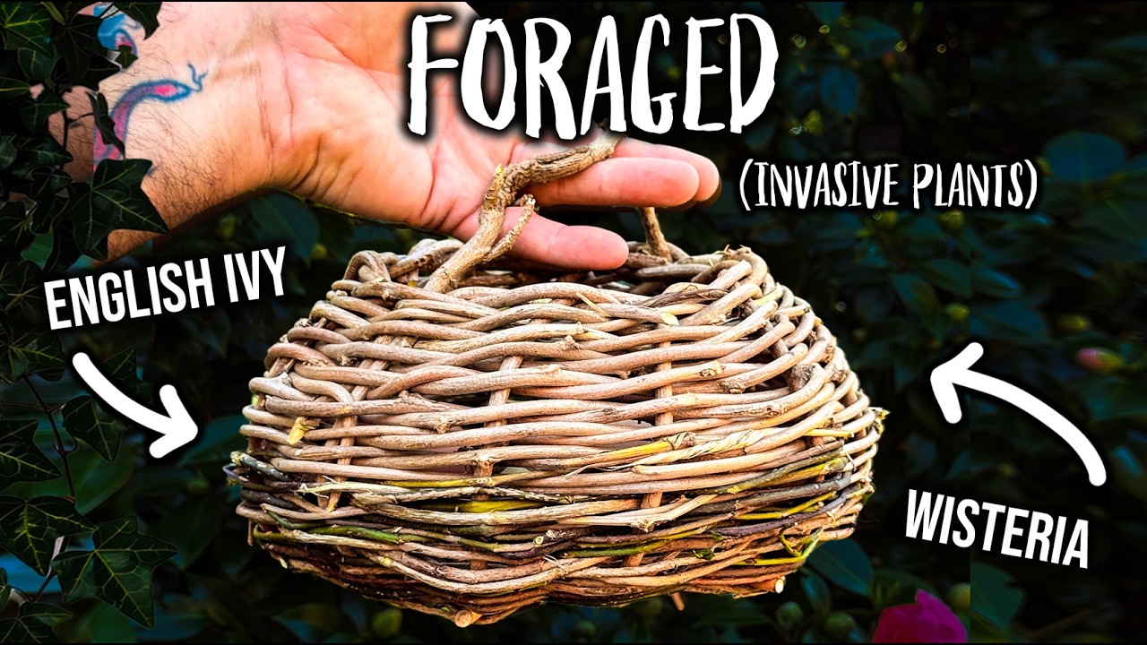 TURNING INVASIVE PLANTS INTO A BASKET!