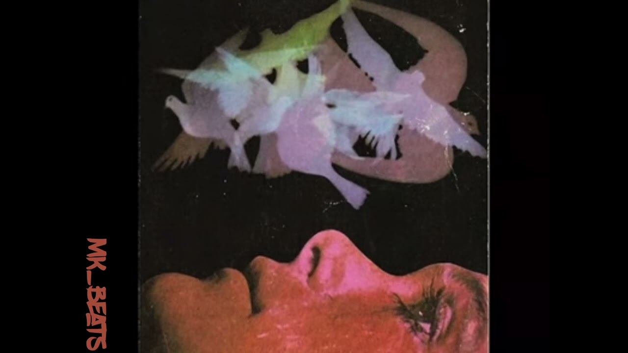 [FREE] Luv Resval & Laylow Type Beat "BIRDS ABOVE HEAD" - Instru Rap 2022