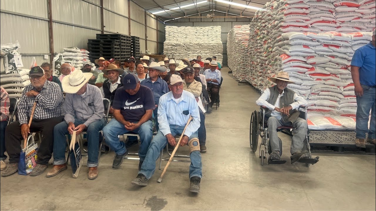 Entrega de apoyos de fertilizantes para campesinos de comunidades rurales de Municipio de Abasolo