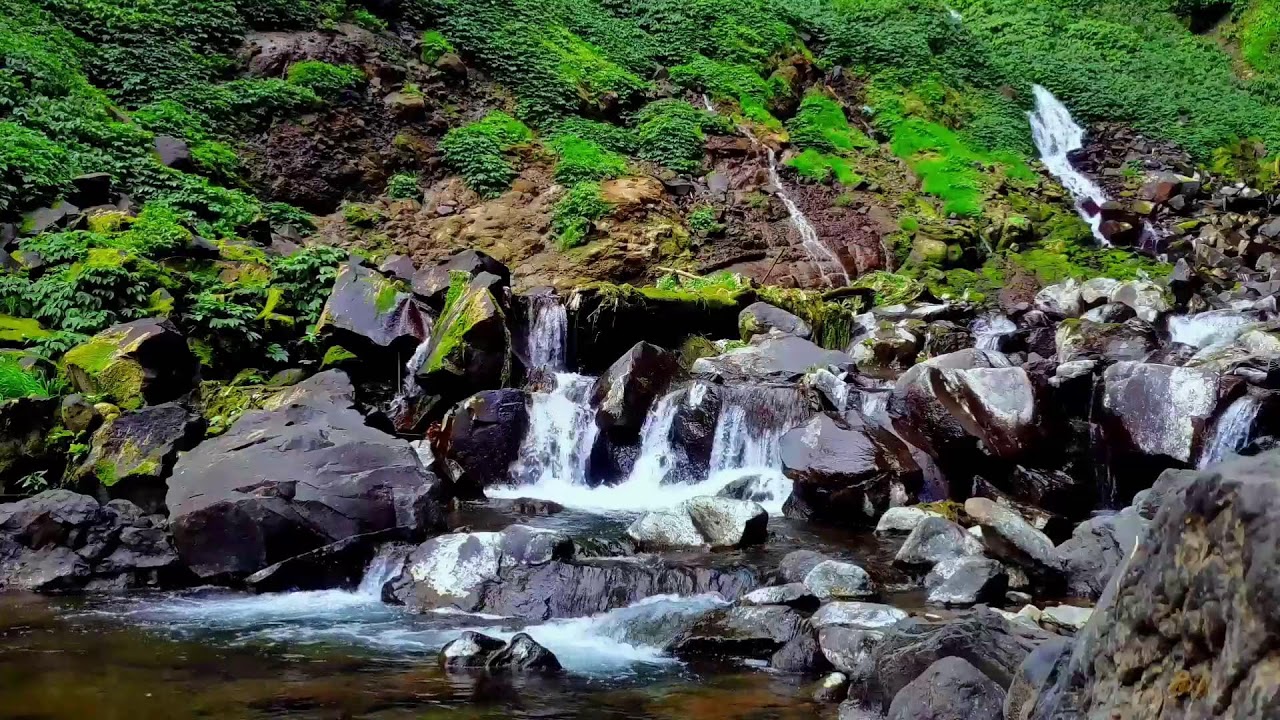 River Water Flow Sound – Emotional Therapy for Healing Anxiety and Sleep
