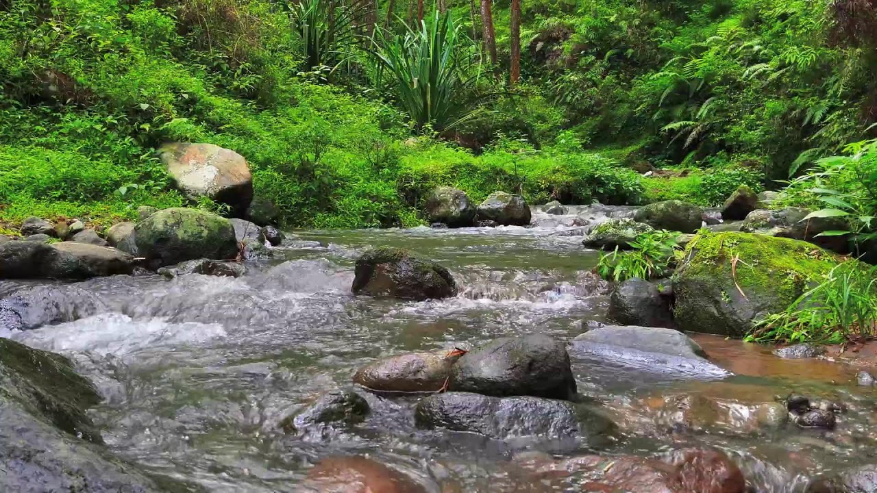 Deep Calm River – 10 Hours of ASMR for Focus, Anxiety & Stress Recovery