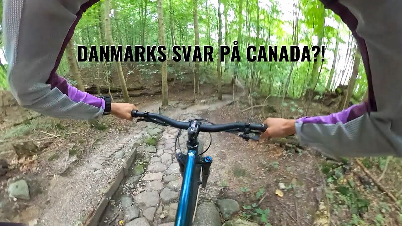 SPOR CHECK! N&oslash;rreskoven