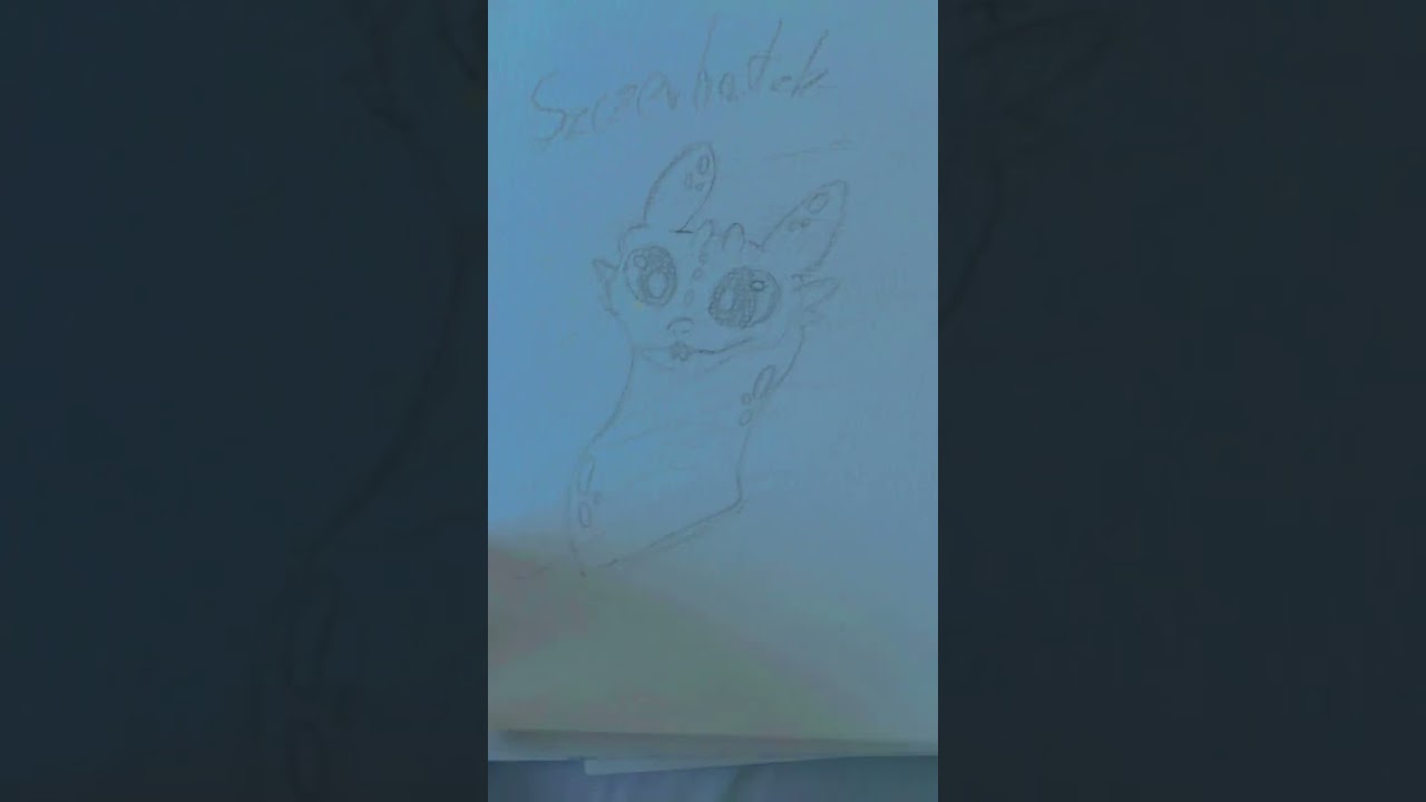 Plis nie hejtujcie moich rysunków wiem że nie są za ładne