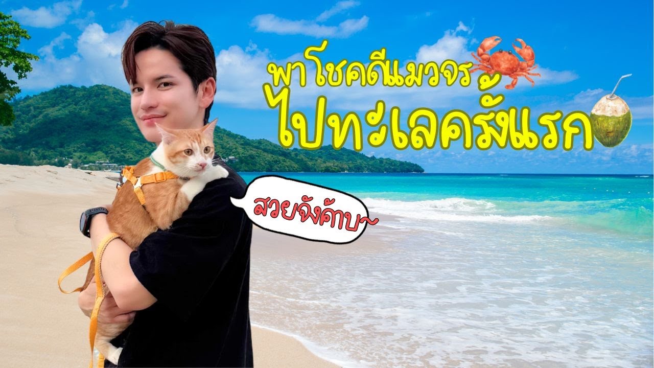 พาโชคดี น้องแมวจรไปทะเลครั้งแรก นี่คือทริปของพวกเราในชีวิตที่ผมจำไม่ลืม! | ติดเต๋า