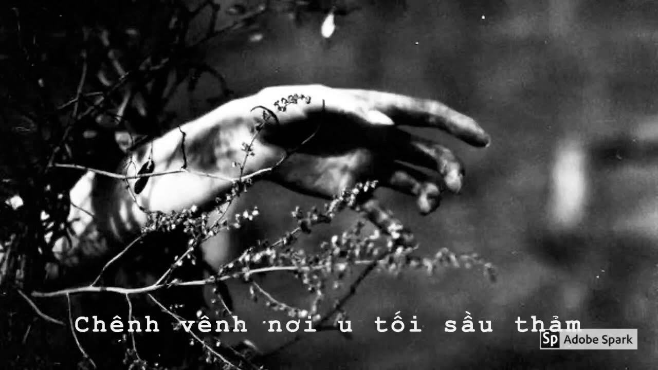 Still here [ Digital Daggers ] - vietsub