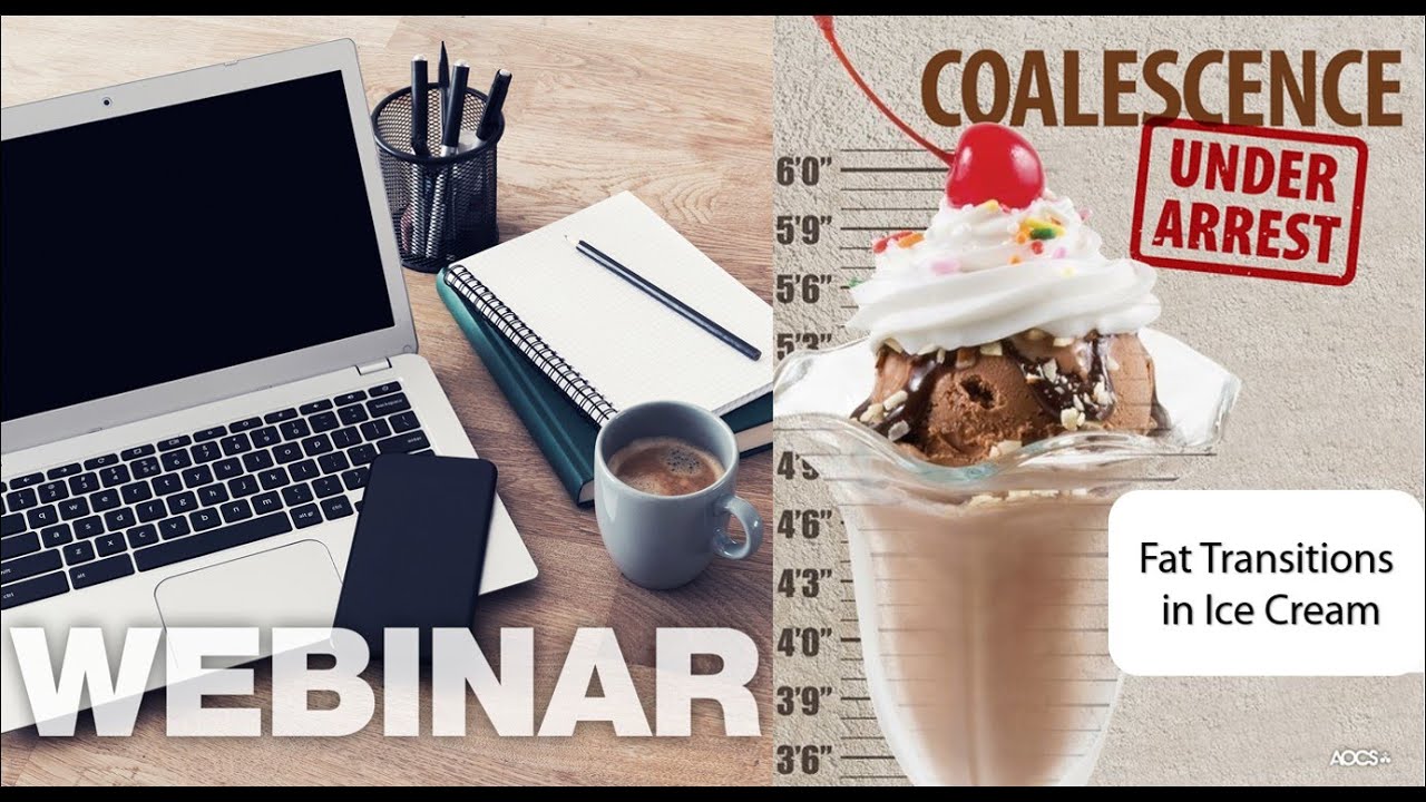 Fat Transitions in Ice Cream with AOCS Member Dr. Rich Hartel