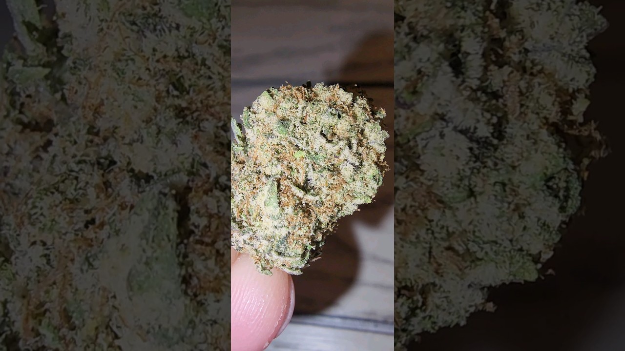 Apples & Bananas Strain #shorts