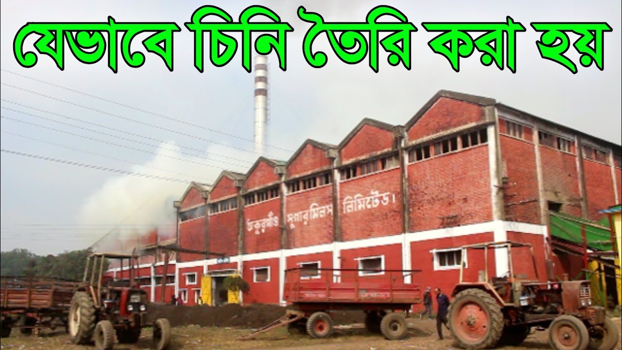 যেভাবে চিনি তৈরি করা হয় | Thakurgaon sugar mil 