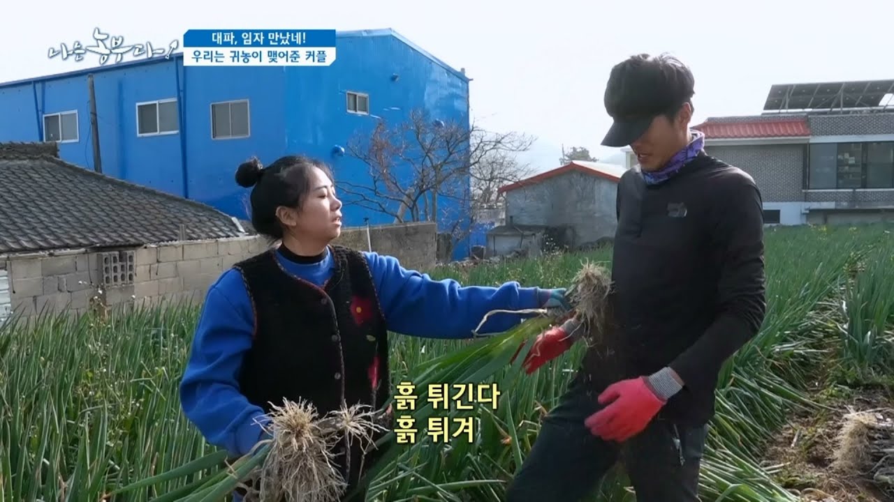 [대파, 임자 만났네!] 우리는 귀농이 맺어준 커플