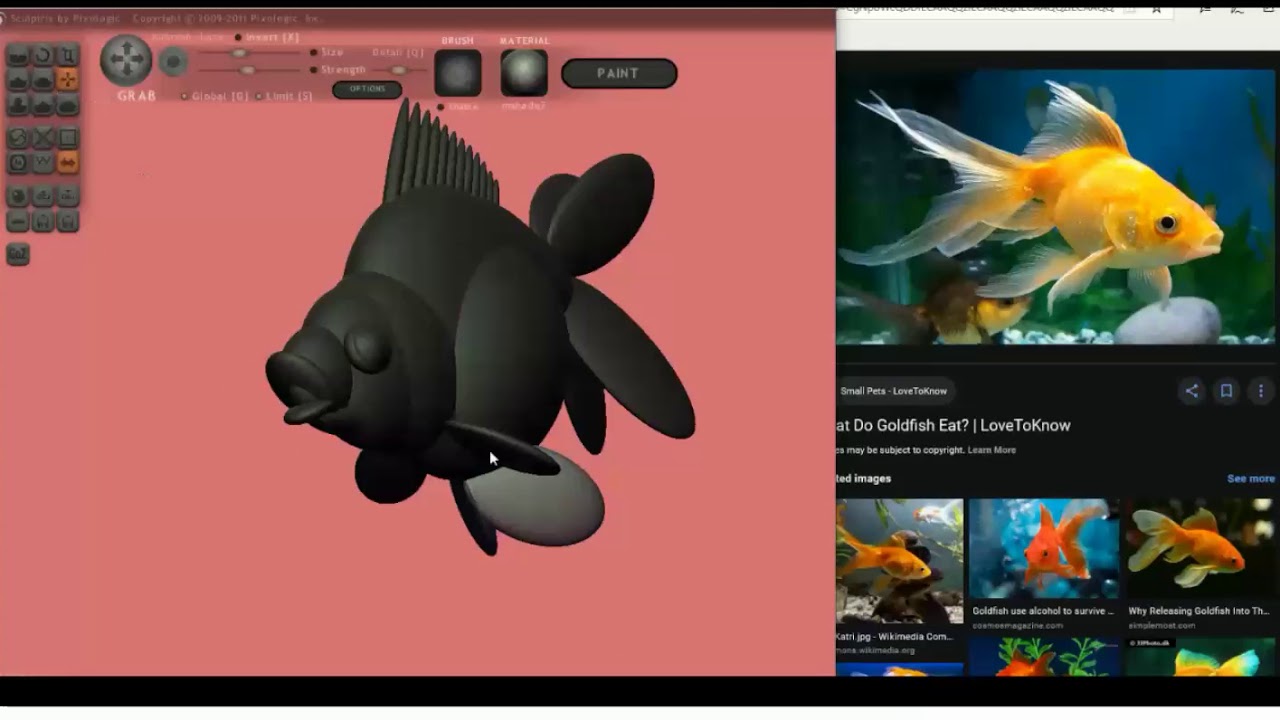 Goldfish Sculpted with Spheres in Sculptris Digital Modeling