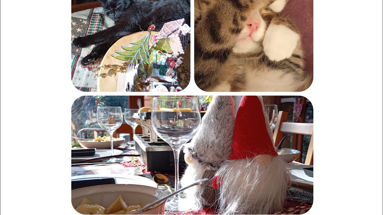 ma voi, siete stanchi? vlog relax di piccole pulizie, decori da ricordare, cani e gatti