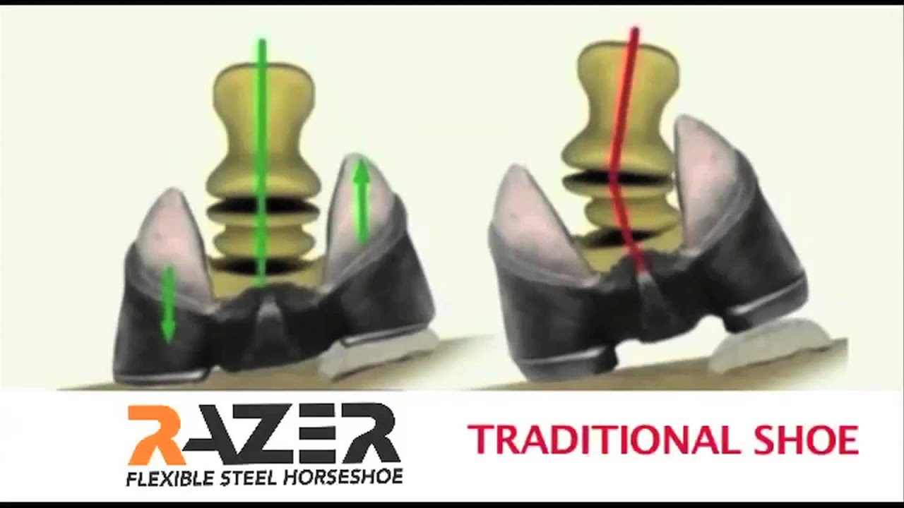 Razerhorse Booth Video